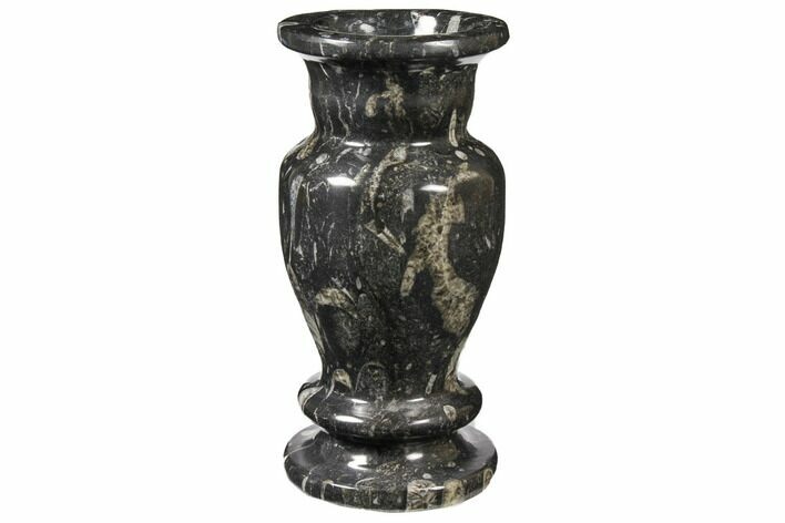 Limestone Vase With Orthoceras Fossils #122443
